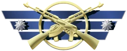 Master Guardian Elite